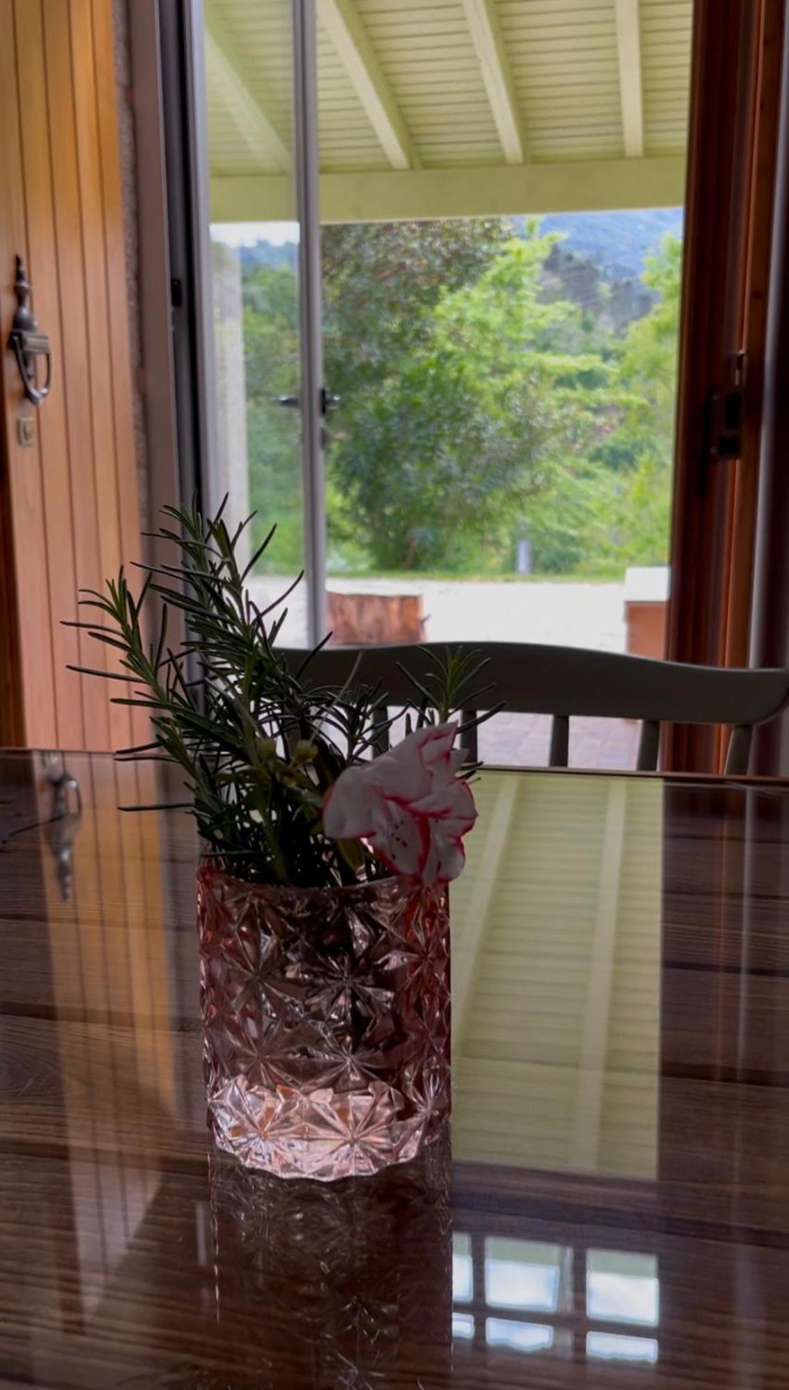 Casa Da Ribeira Do Cirio Guest House Seia Ngoại thất bức ảnh