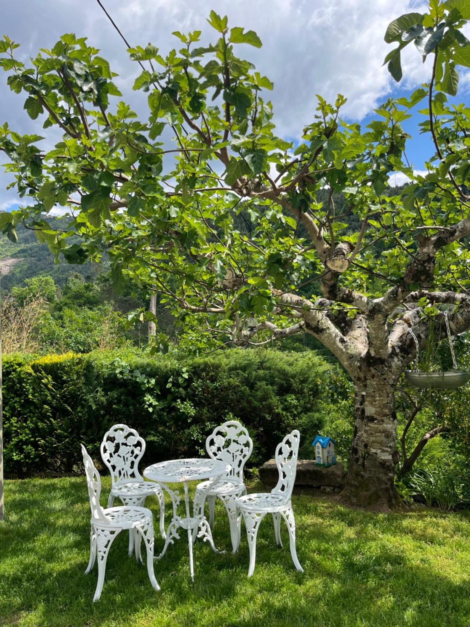 Casa Da Ribeira Do Cirio Guest House Seia Ngoại thất bức ảnh